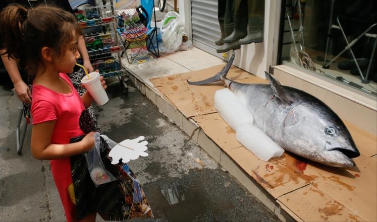 تركي يصيد بصنارته سمكة بطول مترين