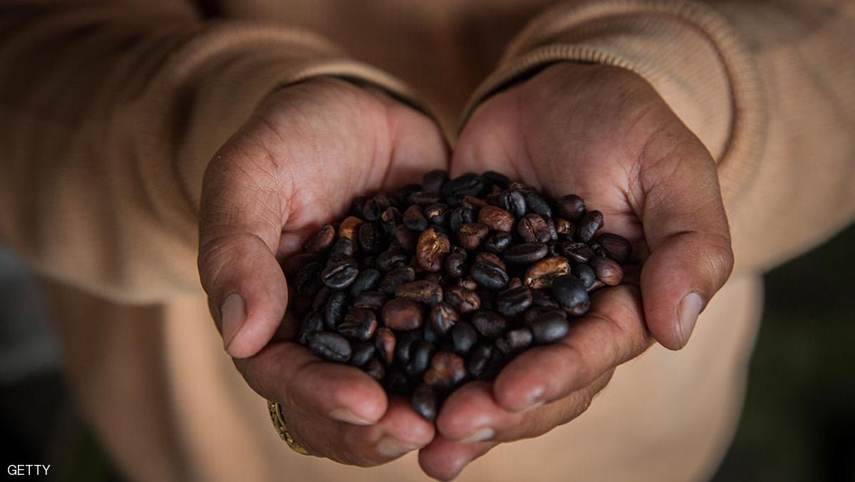 إندونيسيا.. القهوة وزيت النخيل مقابل طائرات