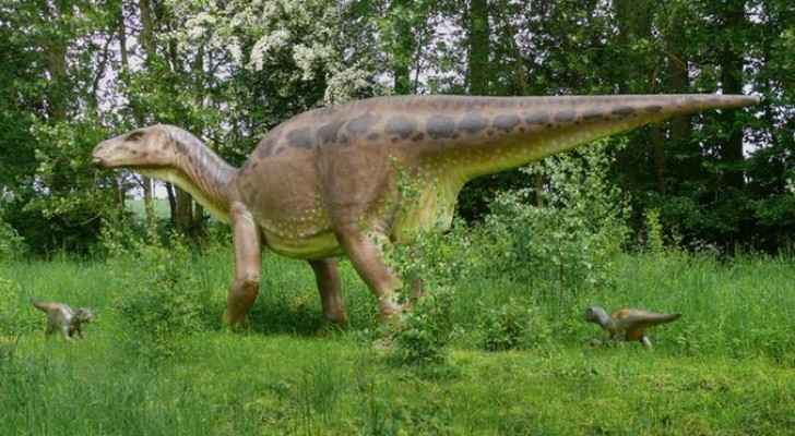 لأول مرة.. اكتشاف جسد ديناصور متكامل