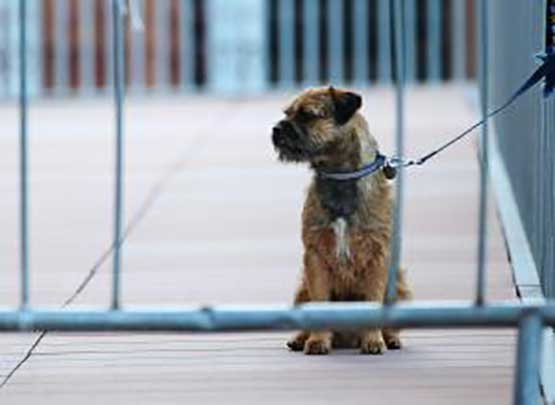 محكمة فرنسية تقضي بالسجن 6 أشهر