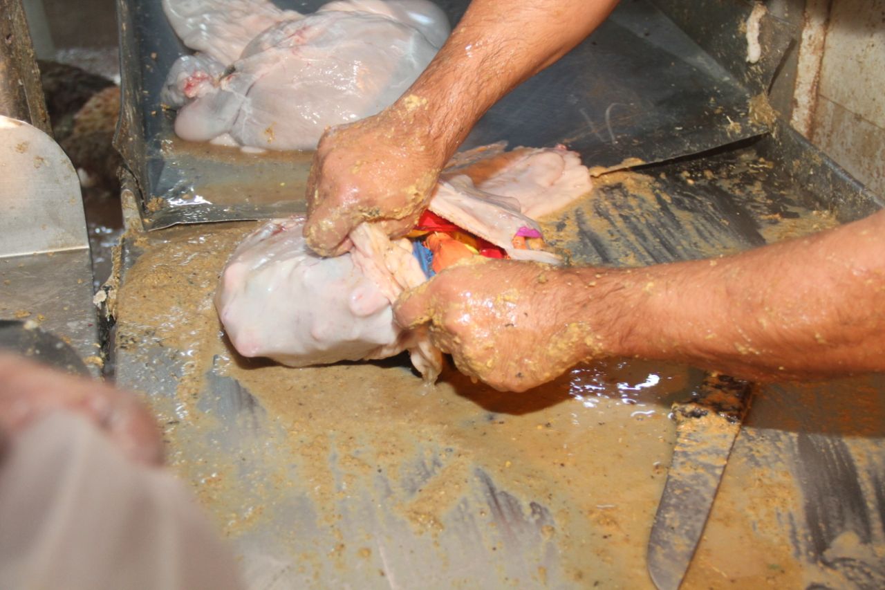 (كانت مخبأة داخل أحشاء أغنام).. الجمارك