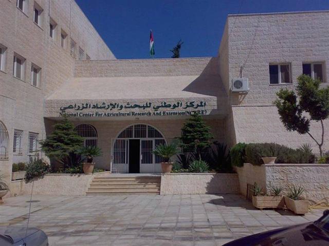 حداد مديرا عاما للمركز الوطني للبحث