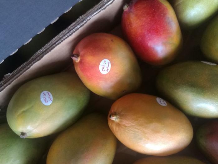 خضار وفواكه إسرائيلية على موائد الأردنيين