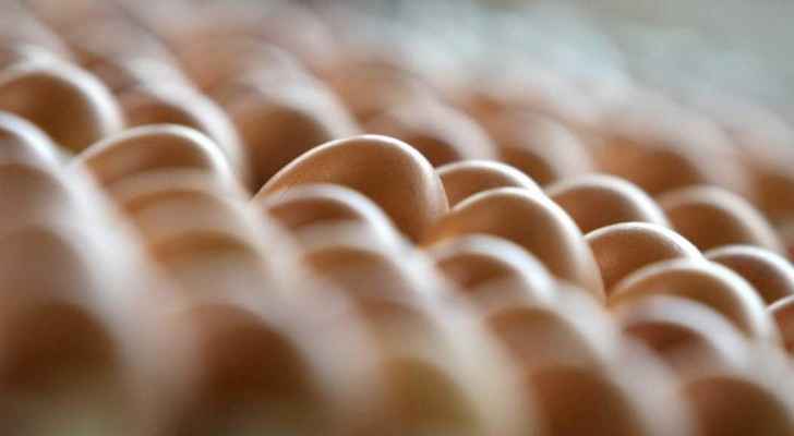 بيض مرعب يغزو إيطاليا