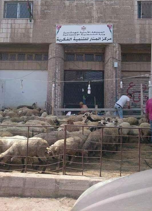 أغنام للاضاحي.. أمام مركز تابع لوزارة