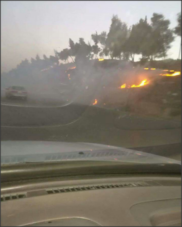 8288 8288 8288حريق أعشاب جافة على