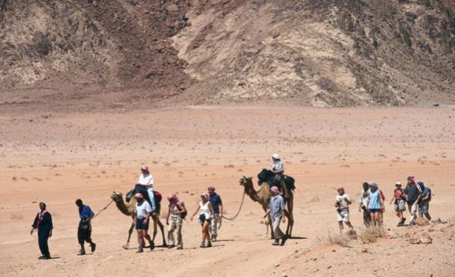 37 شركة سياحية لم تجدد ترخيصها