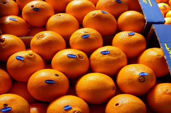 الزراعة: لا تقطفوا أبو صرة