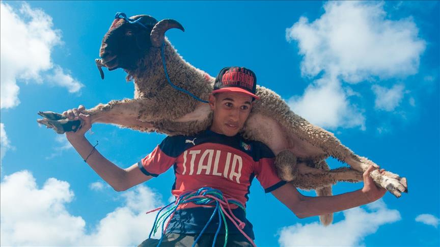 استقرار اسعار الاضاحي في الأردن