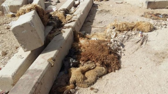 تحذيرات من ’كارثة بيئية‘ بسبب مخلفات