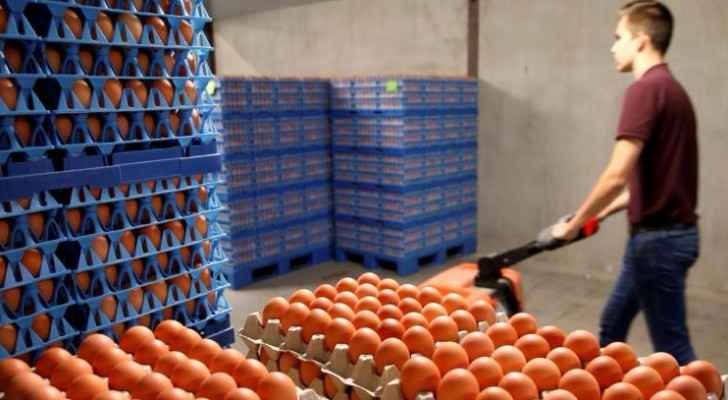 اكتشاف بيض ملوث بمبيد حشري في