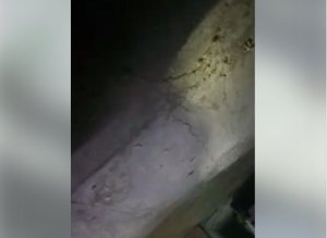 فتاة سورية تبثّ على فيسبوك لحظة