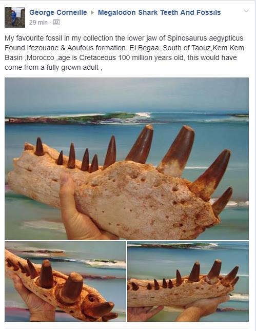 المغرب يفتح تحقيقا بسبب إعلان بيع