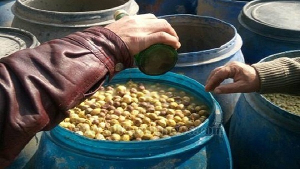 ضبط (13 طن) مخلل زيتون «فاسد»