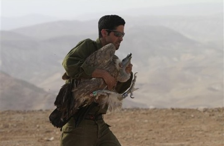 إسرائيل تنجح باستعادة «النسر الجاسوس» من