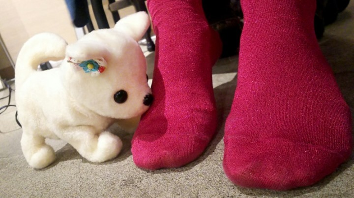 روبوت ياباني على شكل كلب يشم