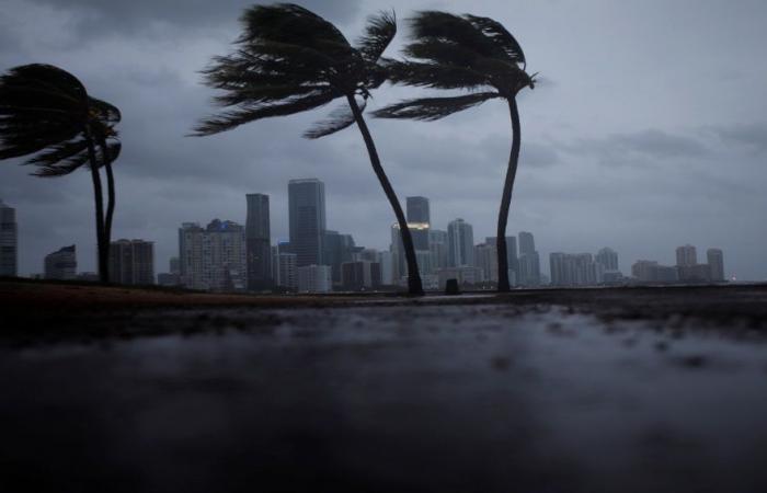 ترامب يصف إرما بوحش كبير