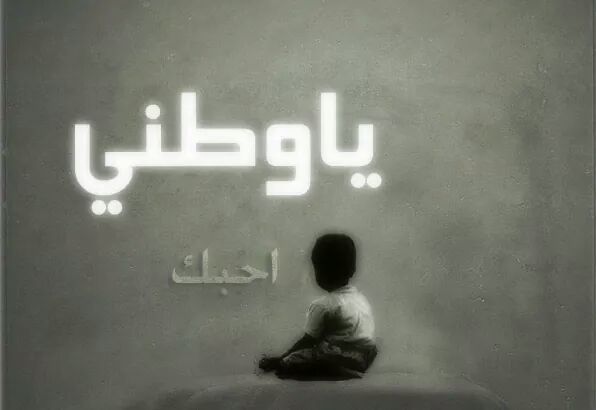 ما بين مطرقة الحكومة وسندان النواب