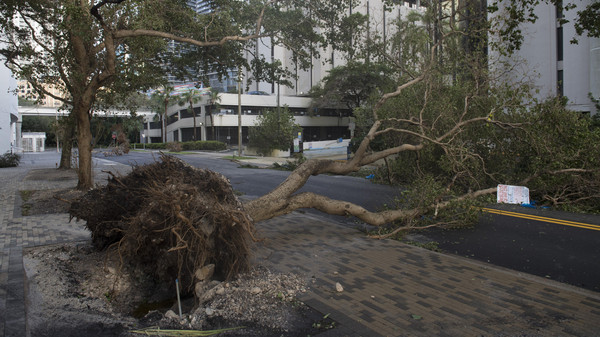 صور صادمة لمعركة إعصار إيرما مع