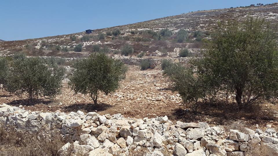 الحكومة تستملك أراضي في عمّان والطفيلة