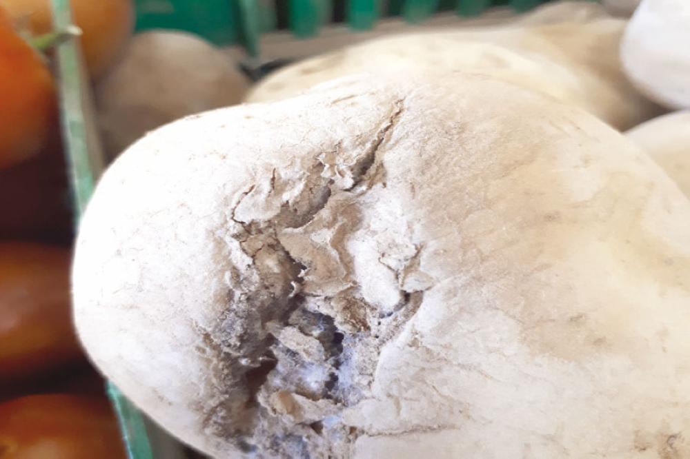 (بعد ظهورها بالأسواق) الزراعة: سوء التخزين