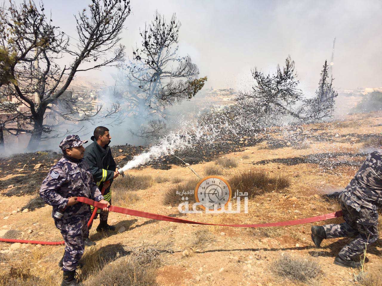 طالب يحرق الأشجار الحرجية المحيطة بمدرسته