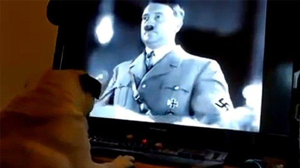 رجل درّب كلبا على تحية هتلر..