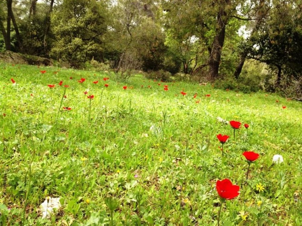 انخفاض على درجات الحرارة