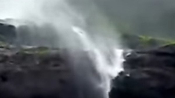 فيديو من الهند بلاد العجائب.. عندما