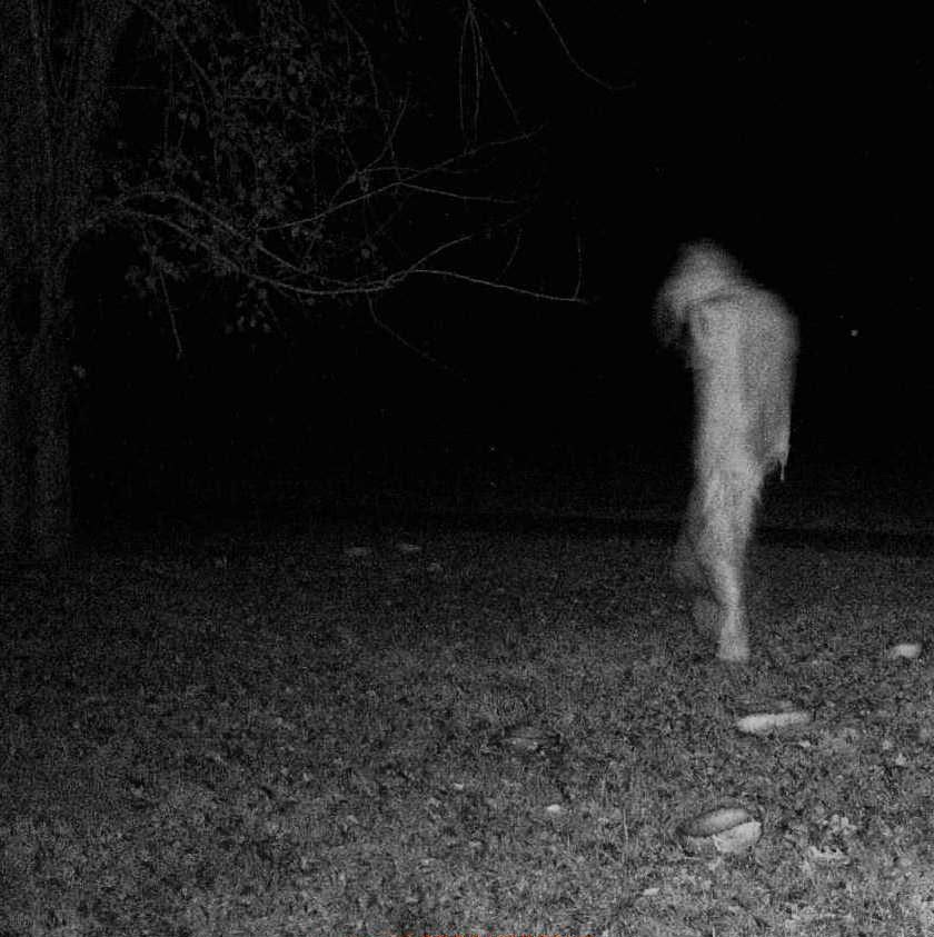 وفاة لبنانية خلال (طرد جن)