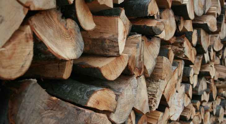 الزراعة تدعو إلى استيراد الحطب من