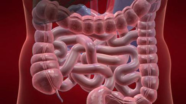 نظام غذائي ملون يكافح سرطان القولون