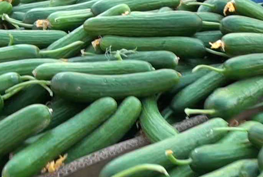 المفرق.. وافدون يتحكمون بالأسعار في سوق