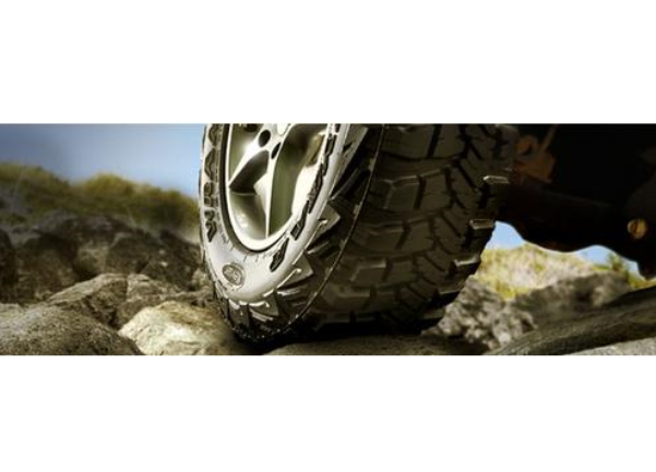 الأمانة تشتري 75 بك آب دفع