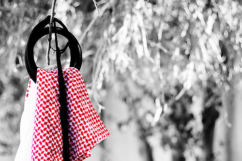 طلال الماضي يكتب: الأردن إلى أين..