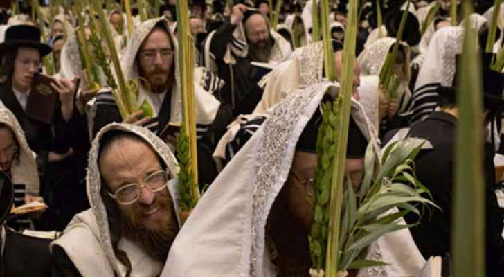 غزة تورد سعف النخيل للاحتلال بمناسبة