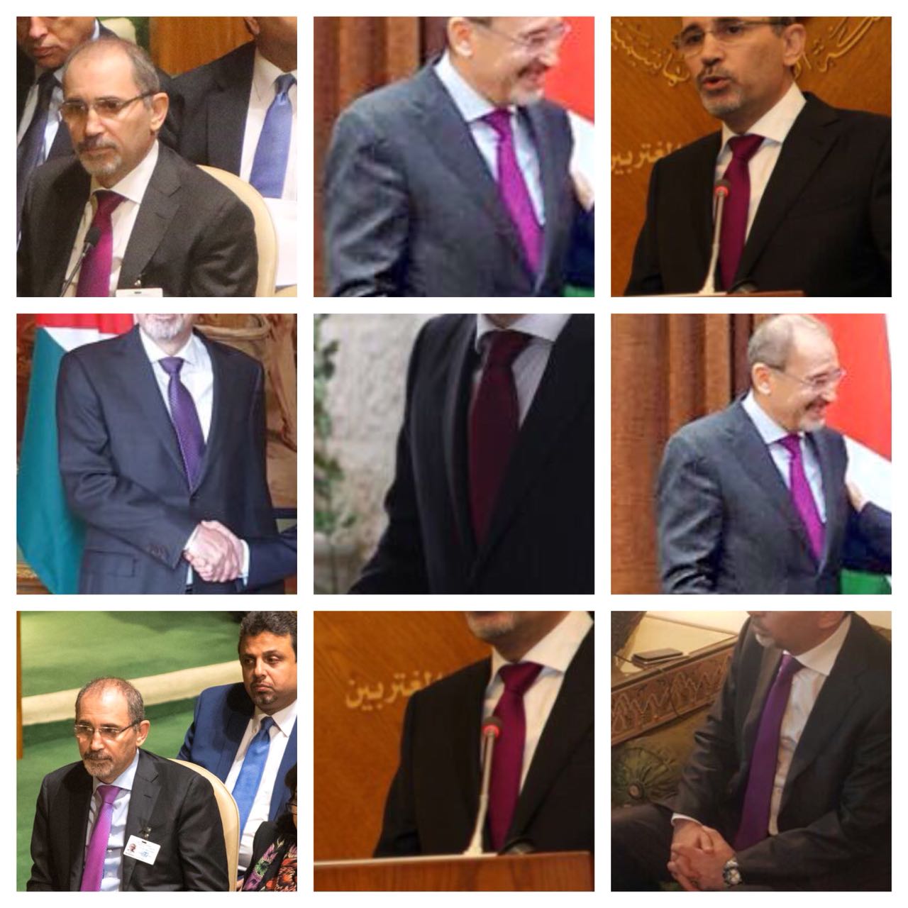 الصفدي و«الزهري».. ما سر اللون؟