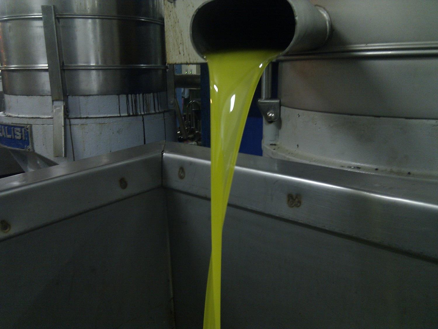 معاصر الزيتون تبدأ باستقبال الموسم ..