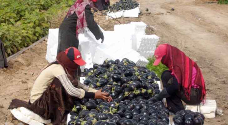 توجه لرفع رسوم العمالة الوافدة 1636