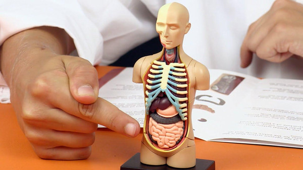 5 حقائق غريبة ومثيرة لا نعرفها