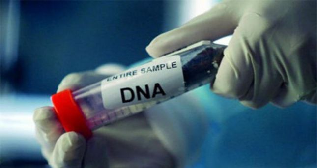 الأردن.. إثبات نسب طفلين لوالدهما بعد