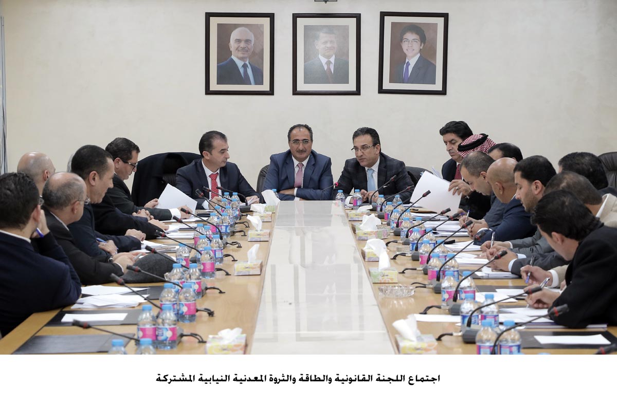 الخصاونة رئيسا لمشتركة القانونية والطاقة النيابية