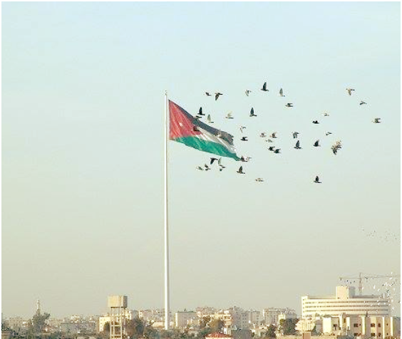 طقس معتدل حتى الخميس