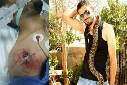 السفير الفلسطيني ينهي مأساة خبير الأفاعي