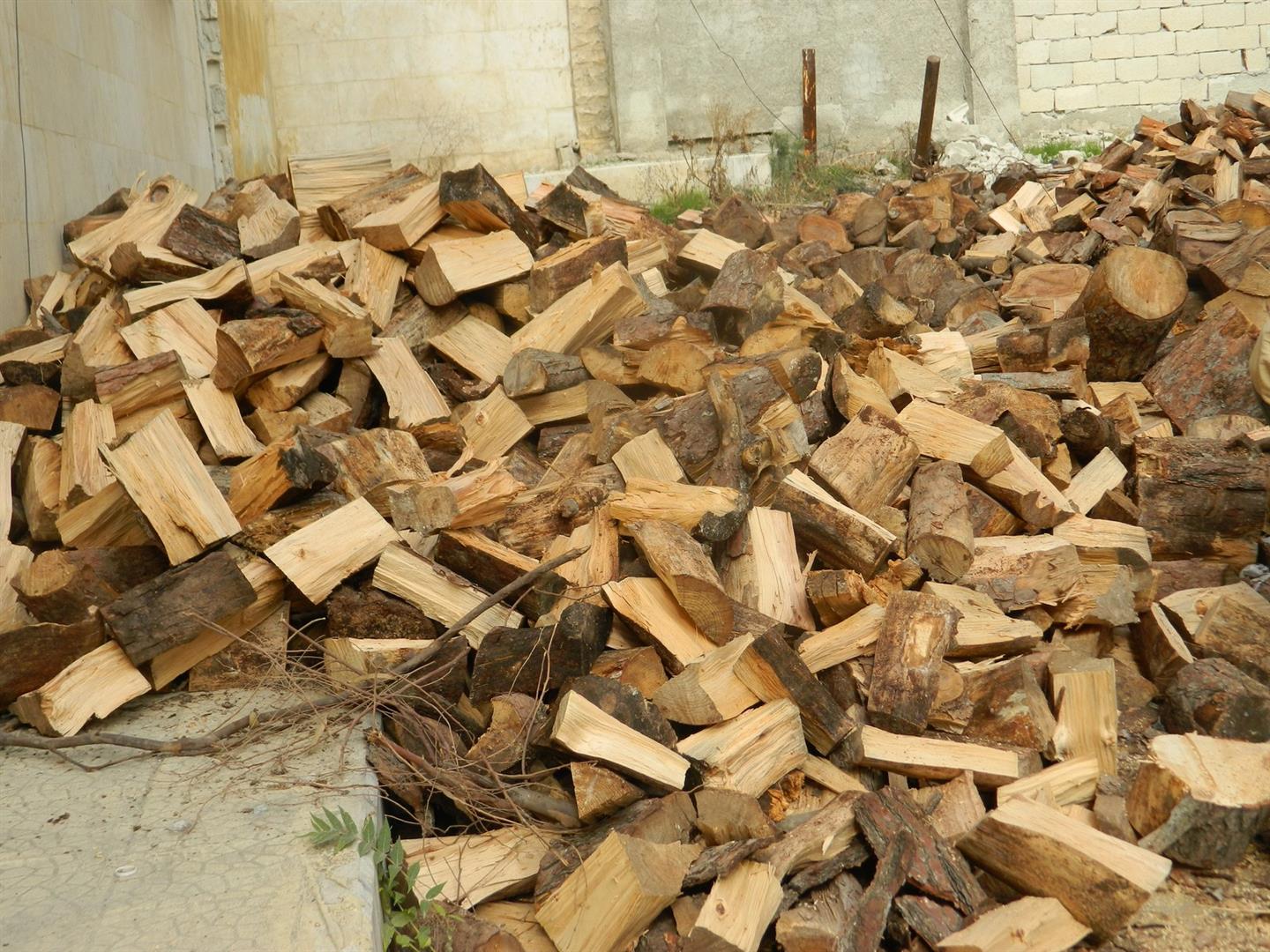 البدء بتطبيق قرار إعفاء الحطب المستورد