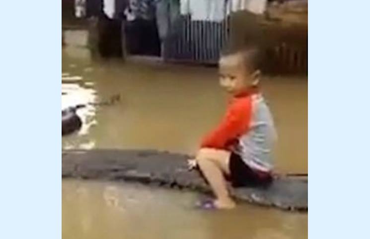 طفل في الثالثة يمتطي ثعبانا ضخما