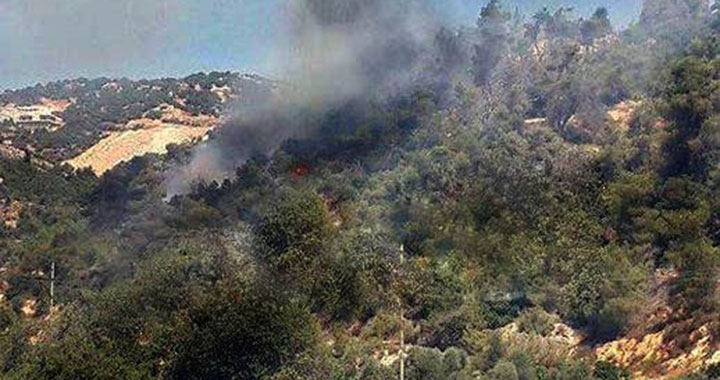 حريق أشجار مثمرة يأتي على 100