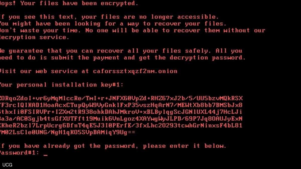 الأرنب السيئ يجتاح دولا عدة ويطلب