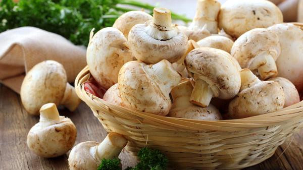 ما علاقة الفطر السحري بعلاج الاكتئاب؟