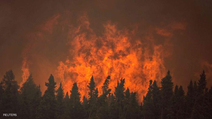 حريق يلتهم 50 دونما على الحدود